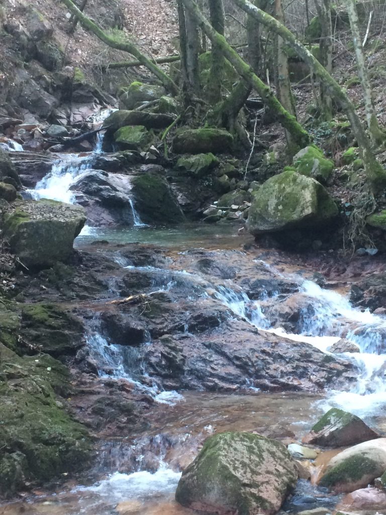 Sentiero della cascata - Brusimpiano (VA)